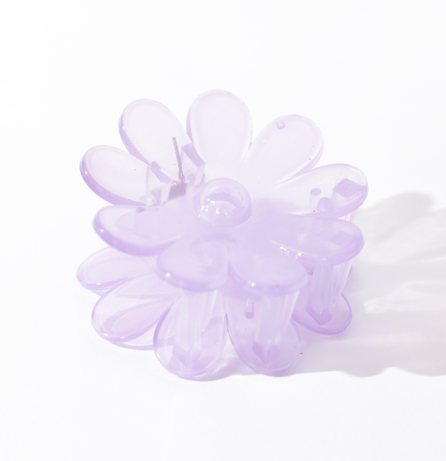 Piranha margarida lilás transparente